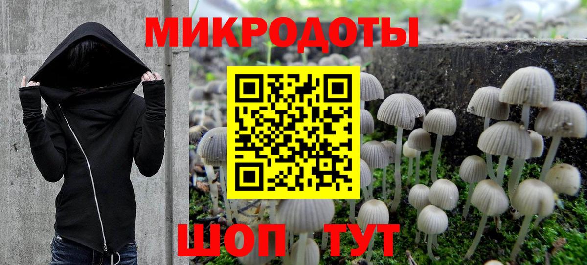 Галлюциногенные грибы Magic Shrooms Коркино