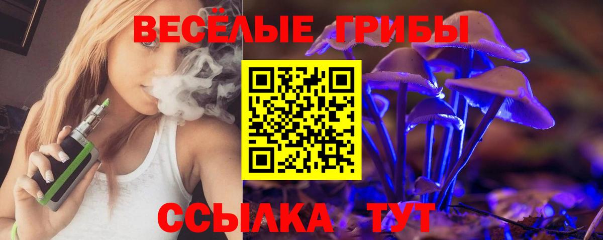 Коркино  Псилоцибиновые грибы Cubensis  Вход с VPN 